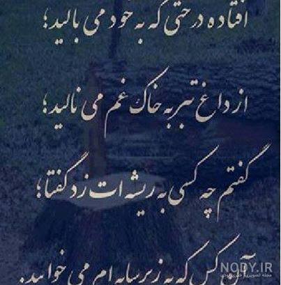 کپشن اینستاگرام | متن برای کپشن اینستاگرام و جملات زیبا برای گذاشتن در Instagram کپشن اینستاگرام | متن برای کپشن اینستاگرام و جملات زیبا برای گذاشتن در Instagram