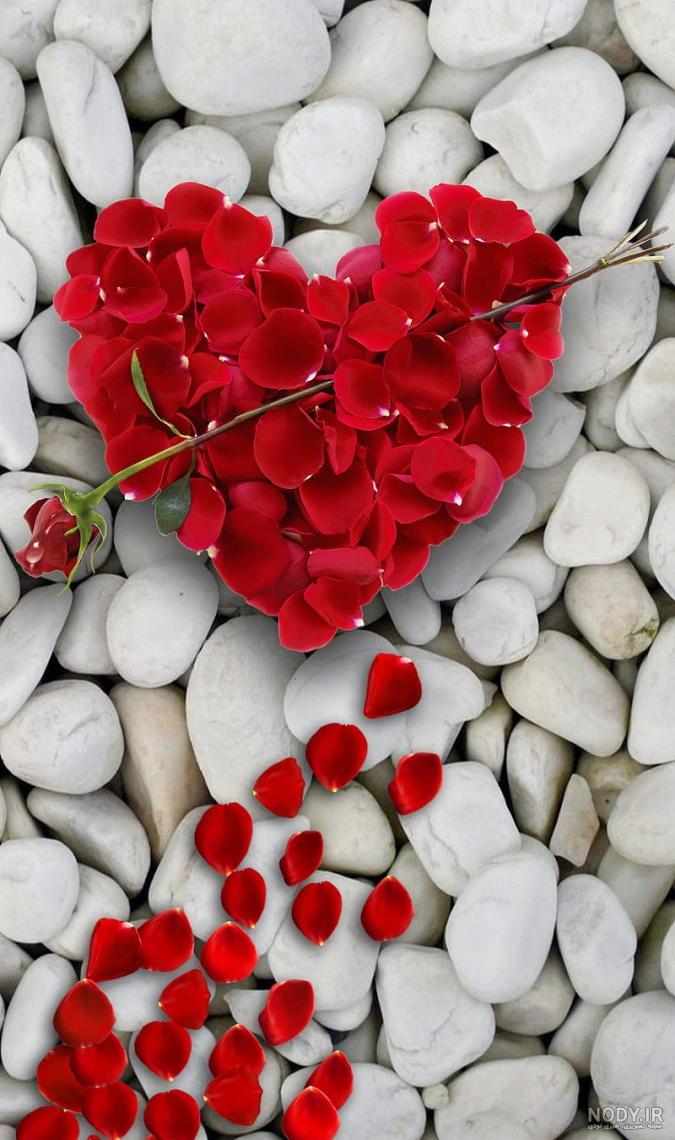 عکس تصویر زمینه گل گلی