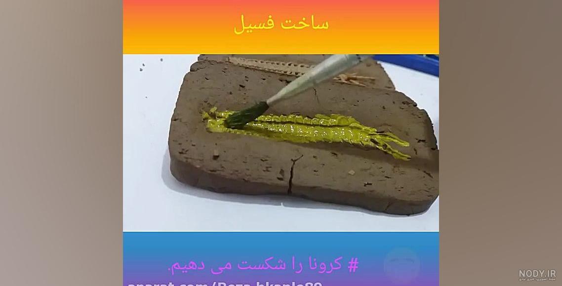 عکس فسیل دایناسور کلاس پنجم
