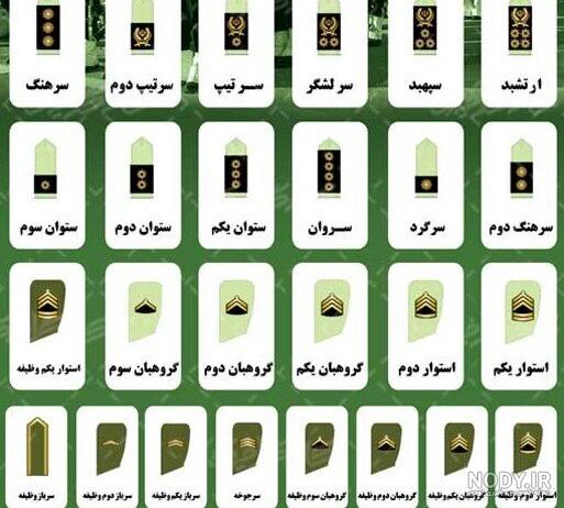 درجه های ارتش | انواع و نحوه ارتقا درجه های ارتش | انواع و نحوه ارتقا