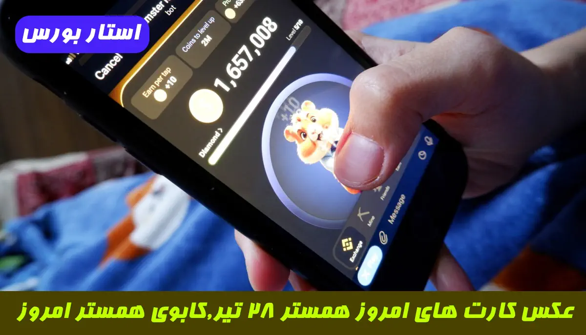 عکس های جدید همستر امروز عکس های جدید همستر امروز