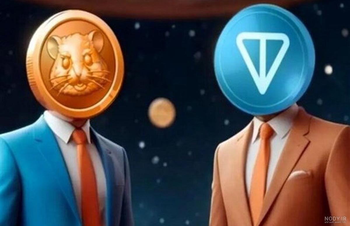 عکس همستر بازیگوش