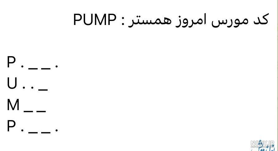 عکس همستر یک میلیون