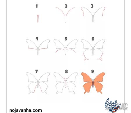 عکس پروانه برای نقاشی کودکان - عکس نودی عکس پروانه برای نقاشی کودکان - عکس نودی