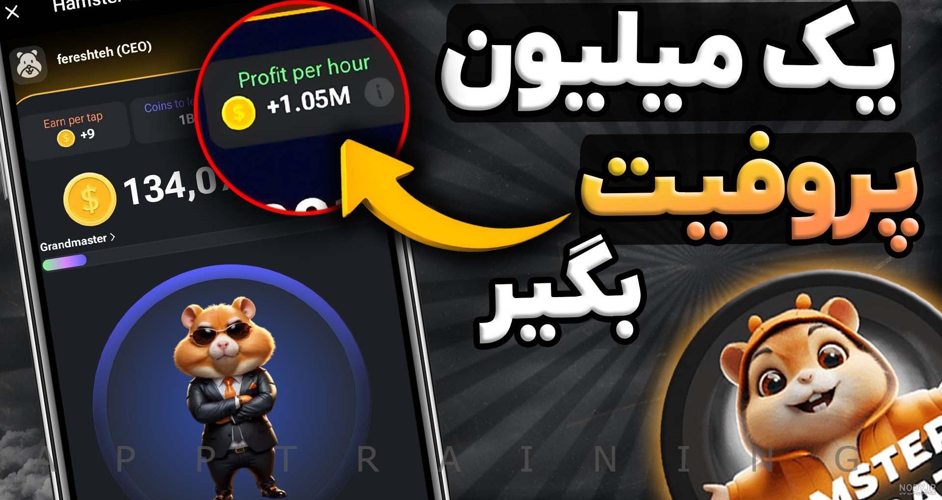 عکس کارت یک میلیونی همستر
