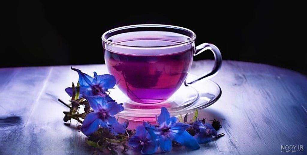 عکس گل گاو زبان خشک عکس گل گاو زبان خشک