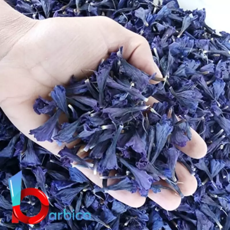 عکس/برداشت گل گاوزبان در نکا عکس/برداشت گل گاوزبان در نکا
