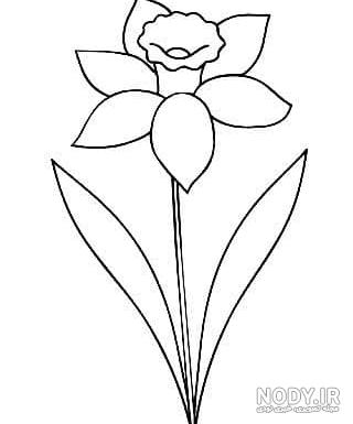 نقاشی کودکانه گل نرگس