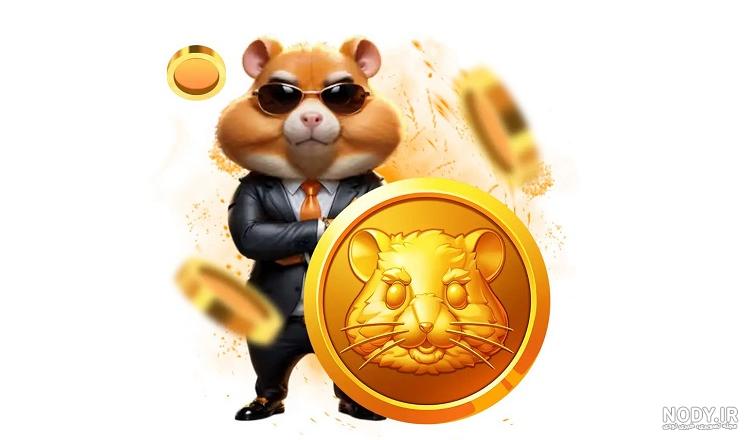 کارت‌های همستر امروز شنبه ۲۴ شهریور + آموزش وارد کردن