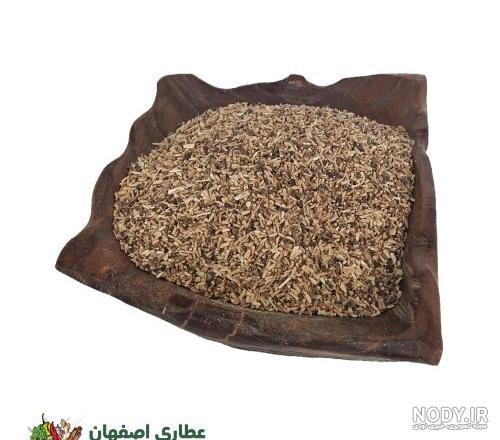 گاودانه زیباترین سبزه عید - مجله اینترنتی خرید ناب گاودانه زیباترین سبزه عید - مجله اینترنتی خرید ناب