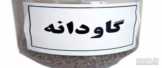 گاودانه - ویکی‌پدیا، دانشنامهٔ آزاد
