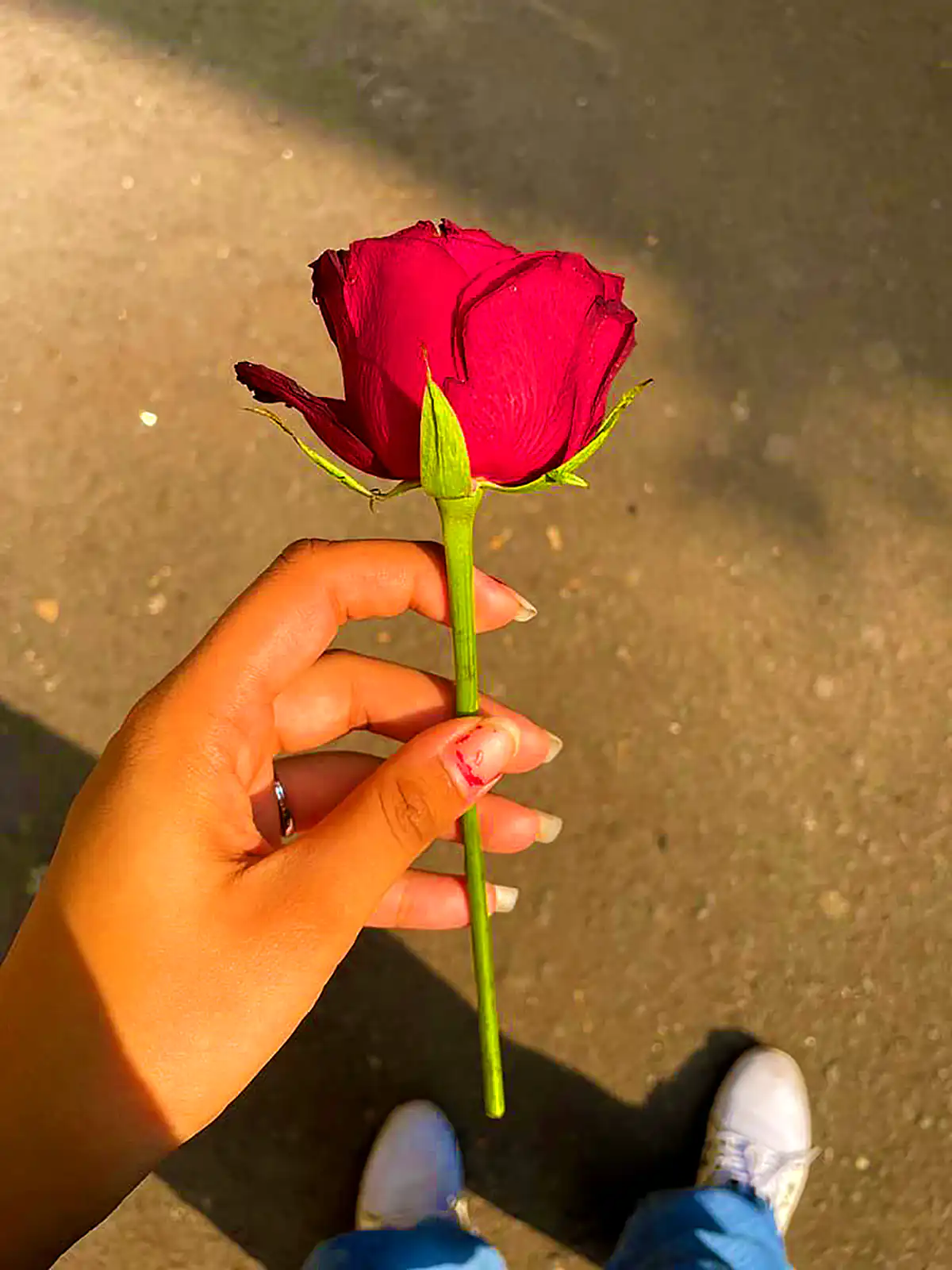 ۷۰ عکس پروفایل گل ۱۴۰۱ برای شبکه های اجتماعی مختلف ۷۰ عکس پروفایل گل ۱۴۰۱ برای شبکه های اجتماعی مختلف