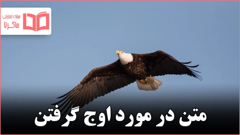 60 عکس دیدنی عقاب مظهر قدرت در آسمان ها