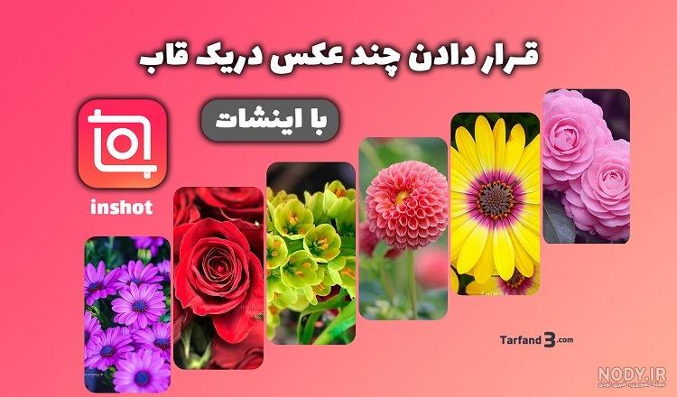 آموزش ادیت عکس با اینشات و نحوه اصلاح رنگ و بالابردن کیفیت