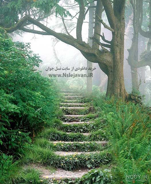 دانلود پشت زمینه عکس عروسی برای فتوشاپ | آتیلا فایل دانلود پشت زمینه عکس عروسی برای فتوشاپ | آتیلا فایل
