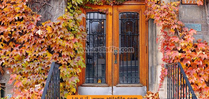 عکس برای فتوشاپ پس زمینه