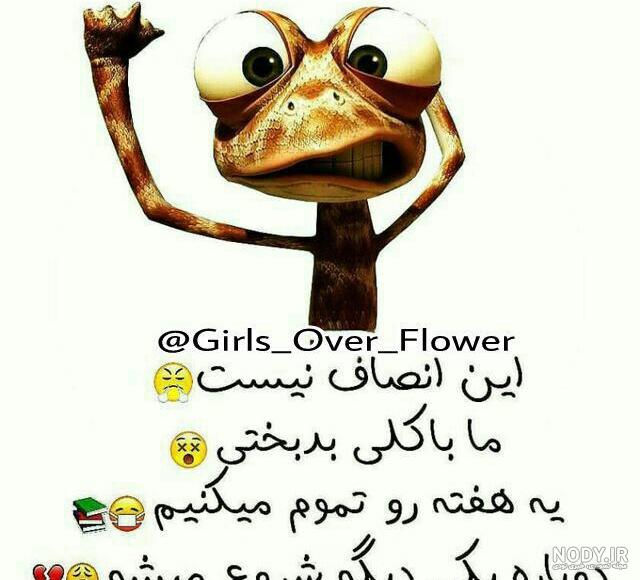 عکس نوشته های خنده دار برای پروفایل 1400-2021 جدید - تــــــــوپ تـــــــــاپ عکس نوشته های خنده دار برای پروفایل 1400-2021 جدید - تــــــــوپ تـــــــــاپ