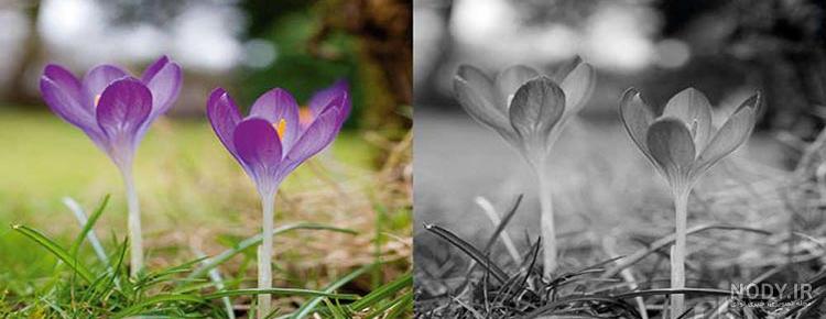 راهنمای تبدیل عکس سیاه و سفید با فتوشاپ