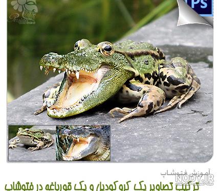 سورئال حیوانات با فتوشاپ+ عکس