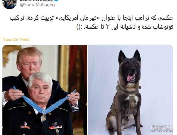 سوژه های بامزه و خنده دار (227) + تصاویر