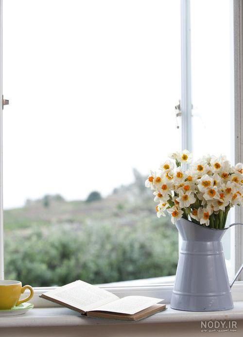 عکس گل نرگس برای والپیپر