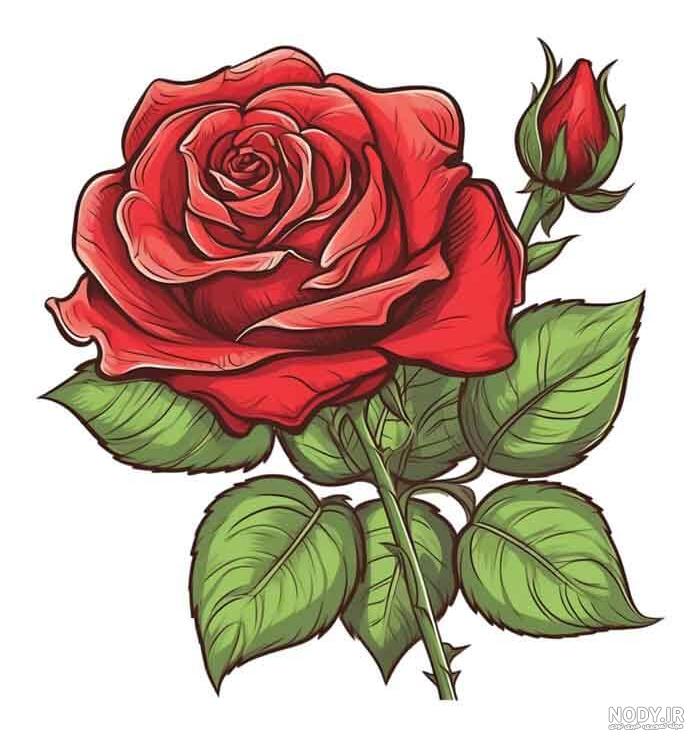 نقاشی ساده ی گل رز