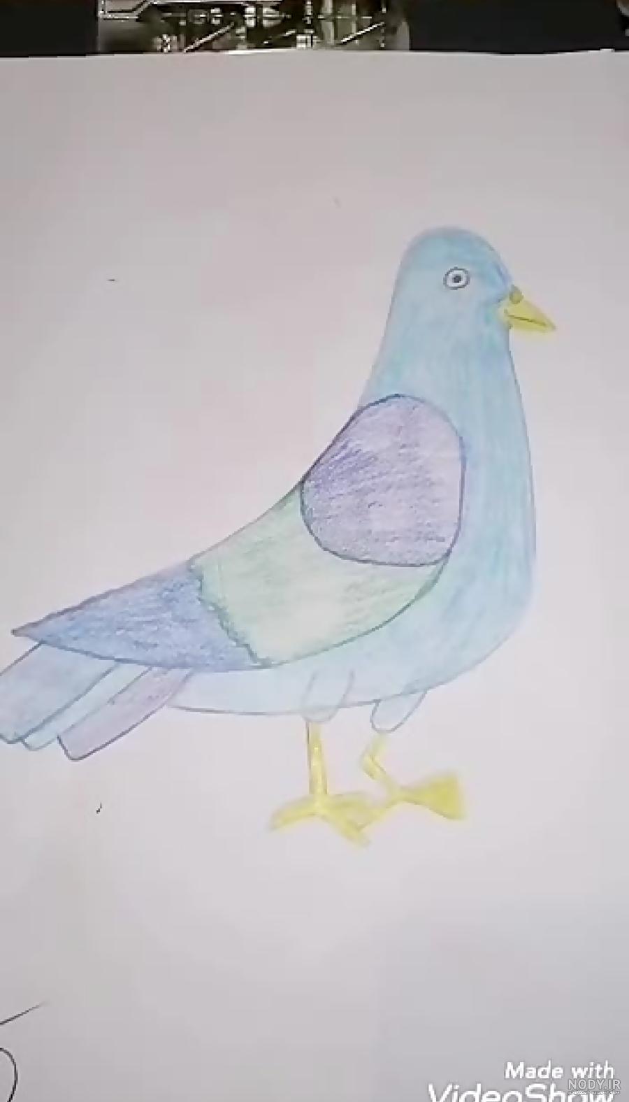 نقاشی کبوتر ساده و کودکانه