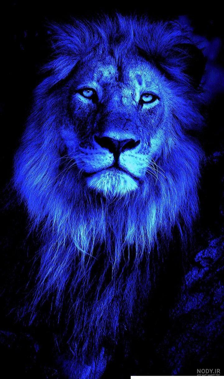 عکس شیر پرسپولیس با تاج