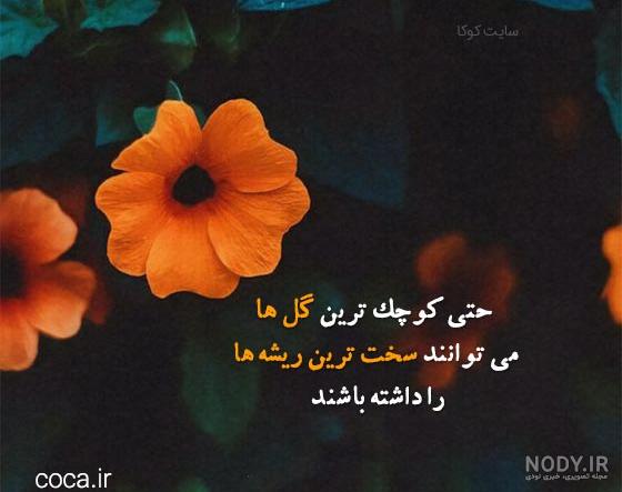 انگیزشی ترین و امید بخش ترین کپشن جوانه زدن انگیزشی ترین و امید بخش ترین کپشن جوانه زدن