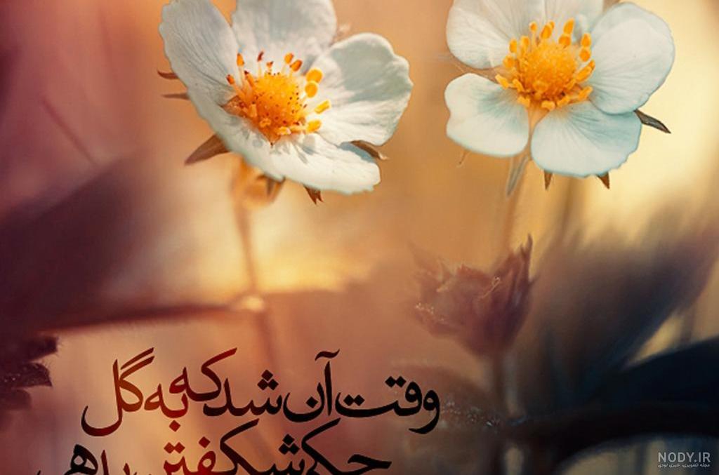 جملات انگیزشی در مورد گل و گیاه + سخنان زیبا در مورد گل جملات انگیزشی در مورد گل و گیاه + سخنان زیبا در مورد گل