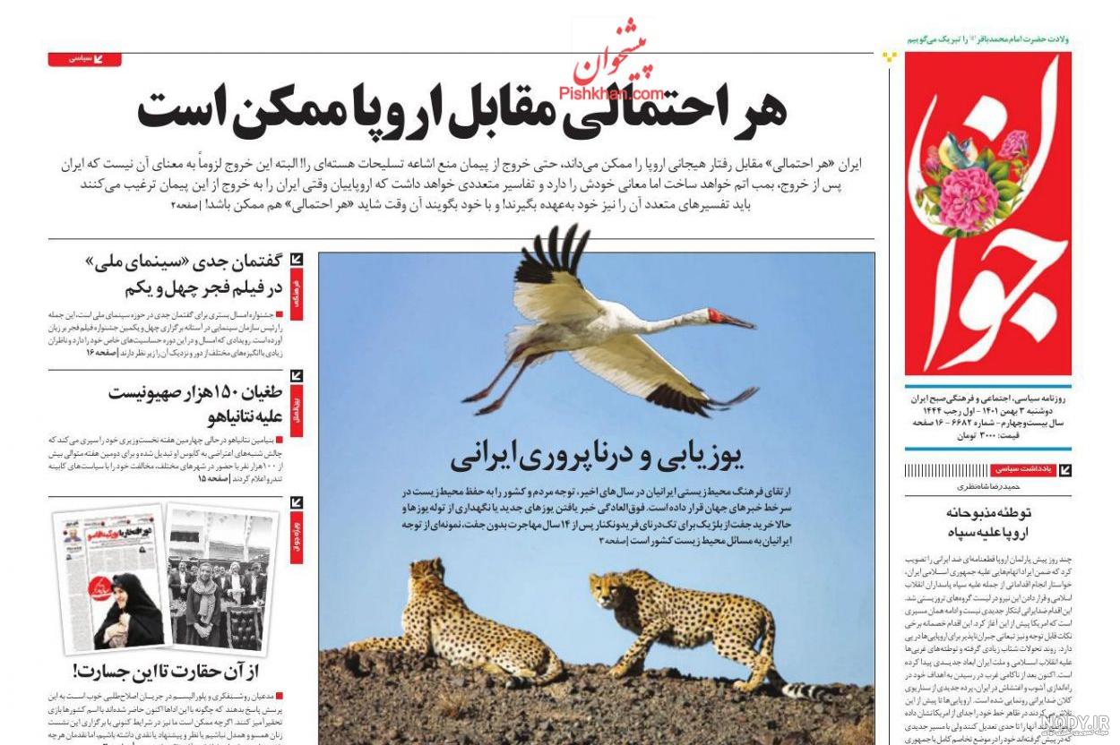 عکس پلنگ های زن ایرانی
