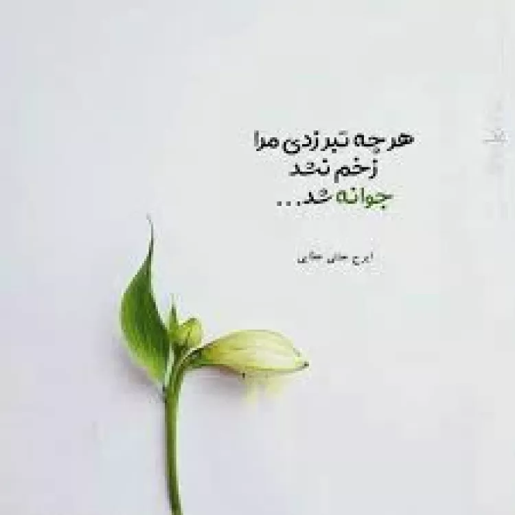 متن زیبا در مورد گل ها برای اینستاگرام (کپشن کوتاه گل) متن زیبا در مورد گل ها برای اینستاگرام (کپشن کوتاه گل)
