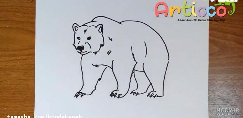 نقاشی ساده خرس قطبی نقاشی ساده خرس قطبی