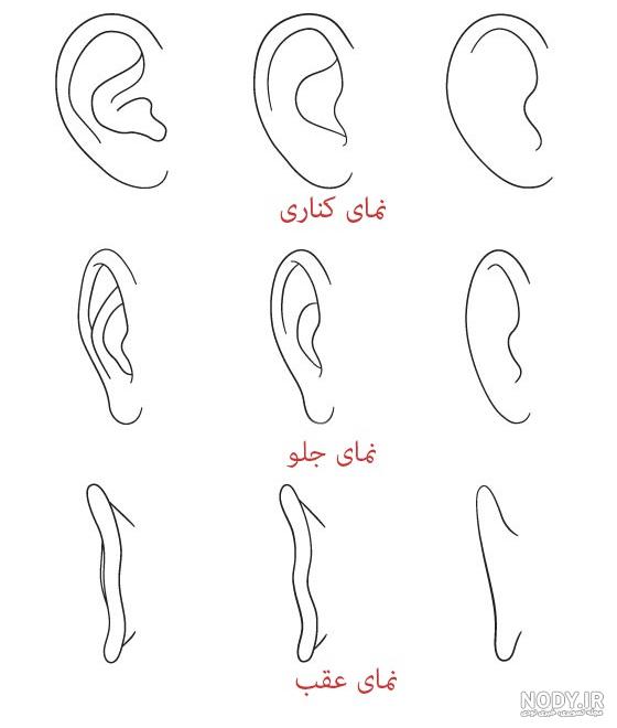 نقاشی سیاه قلم ساده کودکانه گربه نقاشی سیاه قلم ساده کودکانه گربه