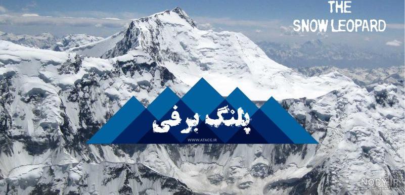 پلنگ برفی - تصاوير بزرگ - بهار نیوز پلنگ برفی - تصاوير بزرگ - بهار نیوز