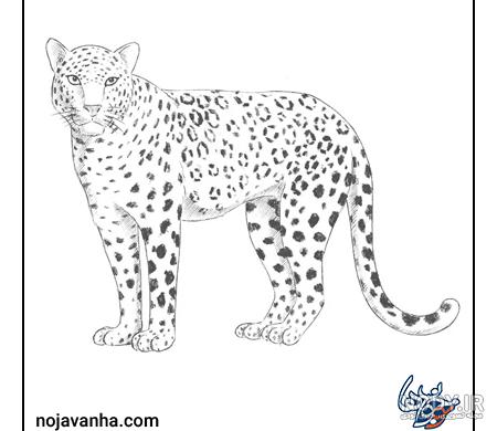 آموزش نقاشی به کودکان - نقاشی پلنگ صورتی - کلیپ کودکانه