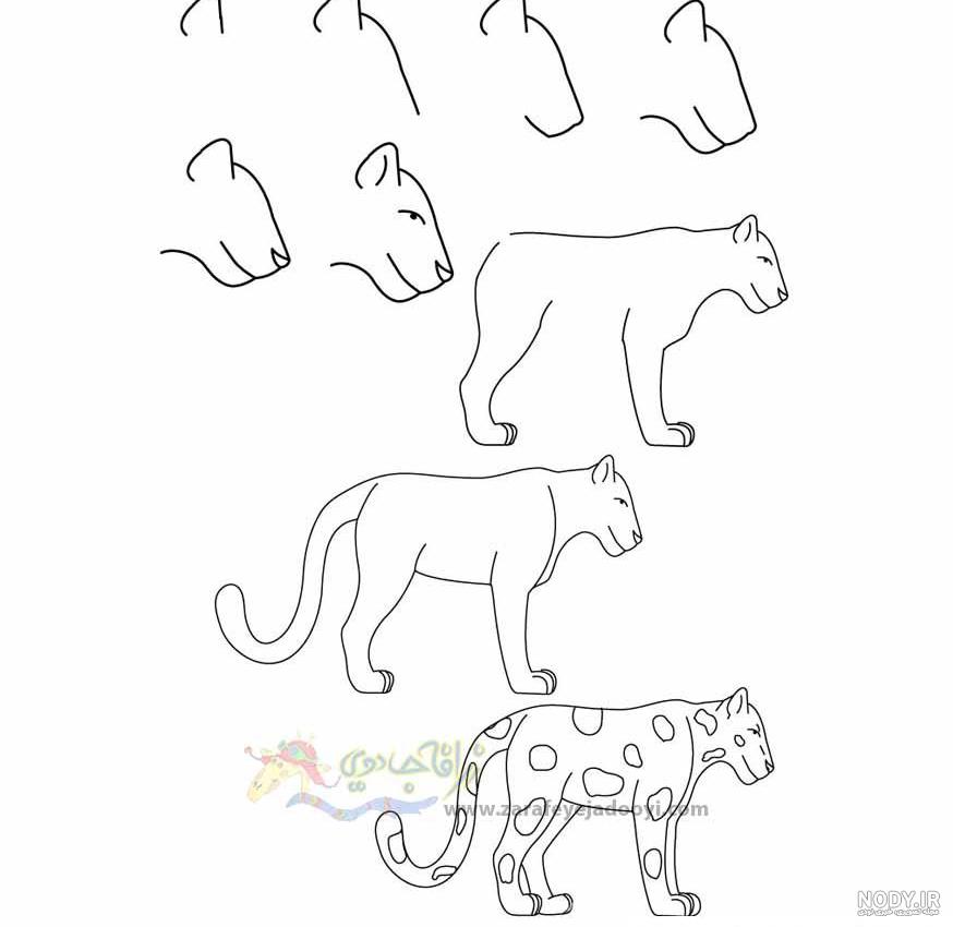 آموزش نقاشی پلنگ مرحله به مرحله “🐆” (ویدئویی + تصویری)