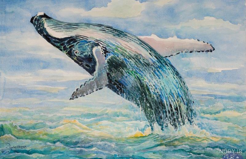 ایده نقاشی نهنگ🐋 - عکس ویسگون ایده نقاشی نهنگ🐋 - عکس ویسگون