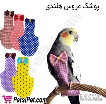 تعبیر خواب مرغ عشق قرمز ، معنی دیدن مرغ عشق قرمز در خواب های ما چیست - فال و خواب تعبیر خواب مرغ عشق قرمز ، معنی دیدن مرغ عشق قرمز در خواب های ما چیست - فال و خواب