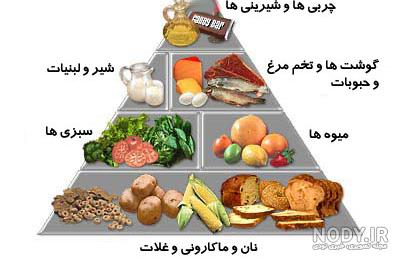 دست کشیده شده مجموعه ای از جو بلغور جو دوسر دانه جو طرح eps 8 ... دست کشیده شده مجموعه ای از جو بلغور جو دوسر دانه جو طرح eps 8 ...