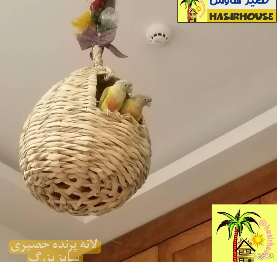 ساخت قفس مرغ ساخت قفس مرغ