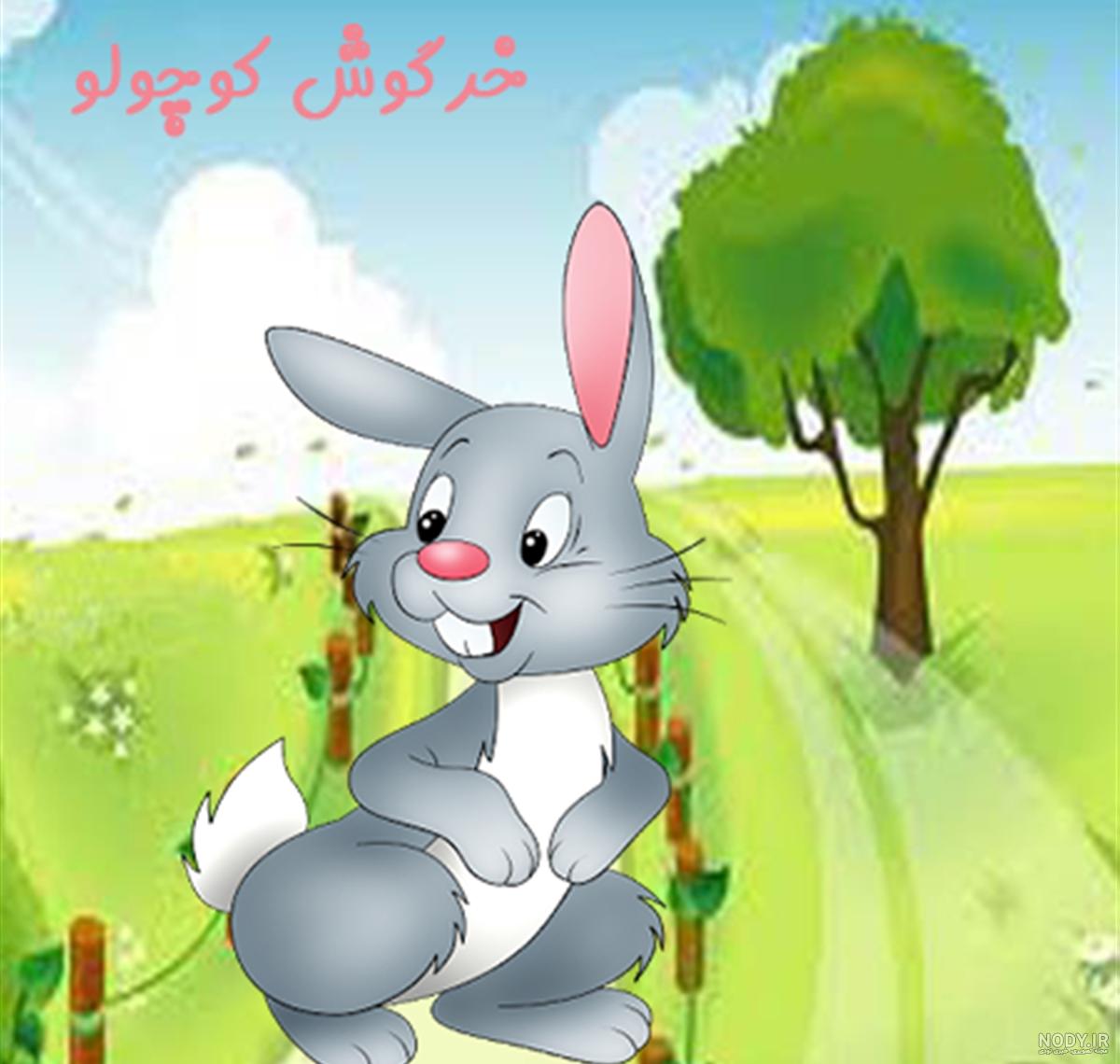 عکس خرگوش و بچه