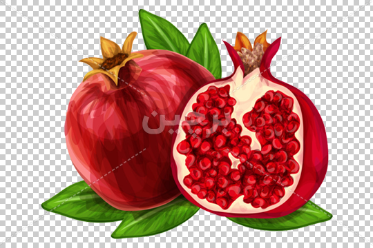 عکس نقاشی شب یلدا انار و هندوانه