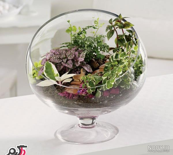 عکس گل طبیعی در شیشه - عکس نودی عکس گل طبیعی در شیشه - عکس نودی