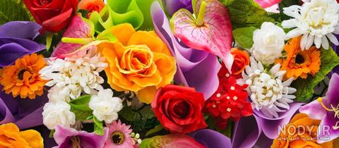 عکس گل طبیعی گلخانه ای