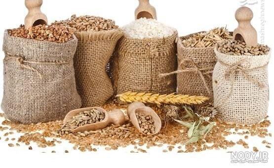 معرفی گروه های غذایی معرفی گروه های غذایی