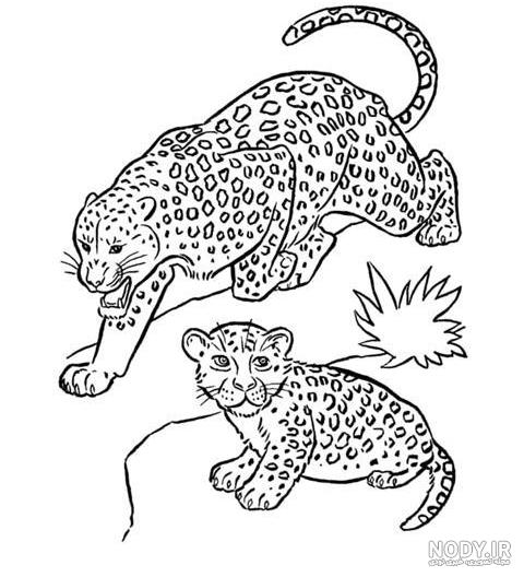 نقاشی یوزپلنگ وحشی