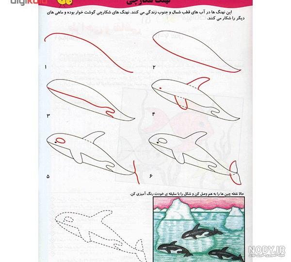 وحوش اقیانوس؛ نهنگ غول پیکر با یه پرش سر پنگوئن کوتوله رو به نیش کشید نصف کرد وحوش اقیانوس؛ نهنگ غول پیکر با یه پرش سر پنگوئن کوتوله رو به نیش کشید نصف کرد
