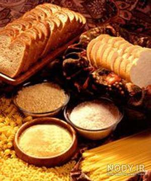 وکتور مواد غذایی وکتور پروتئین وکتور نان و غلات وکتور گوشت وکتور ... وکتور مواد غذایی وکتور پروتئین وکتور نان و غلات وکتور گوشت وکتور ...