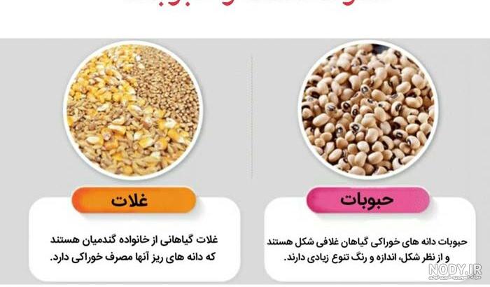 چهار گروه اصلی مواد غذایی : گروه شیر و لبنیات , گروه نان و غلات ... چهار گروه اصلی مواد غذایی : گروه شیر و لبنیات , گروه نان و غلات ...